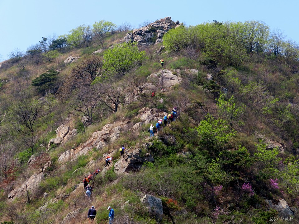 20220420114033_IMG_3533_edit_67729624709976