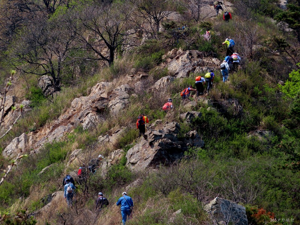 20220420114054_IMG_3534_edit_67739801004766