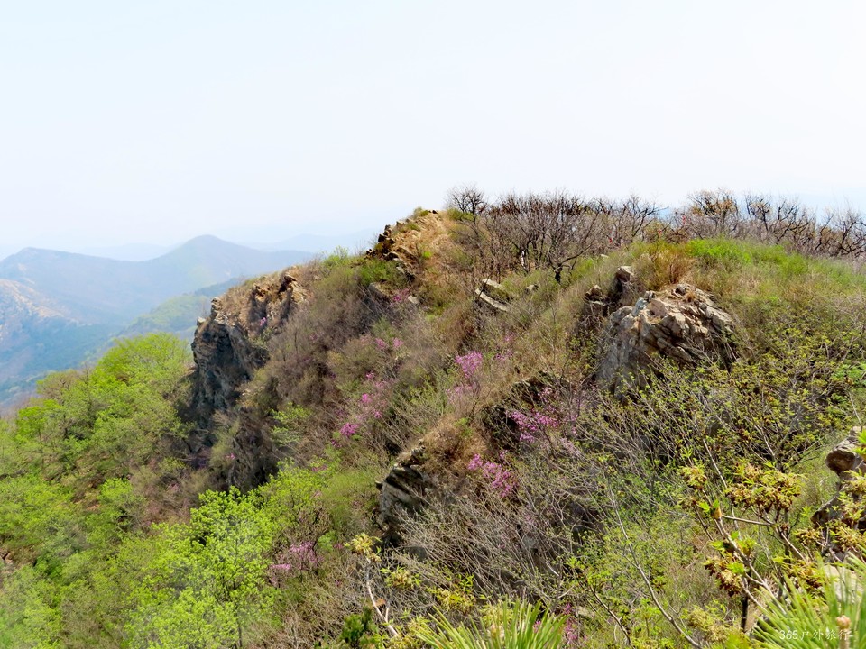 20220420120032_IMG_3535_edit_67752074607889