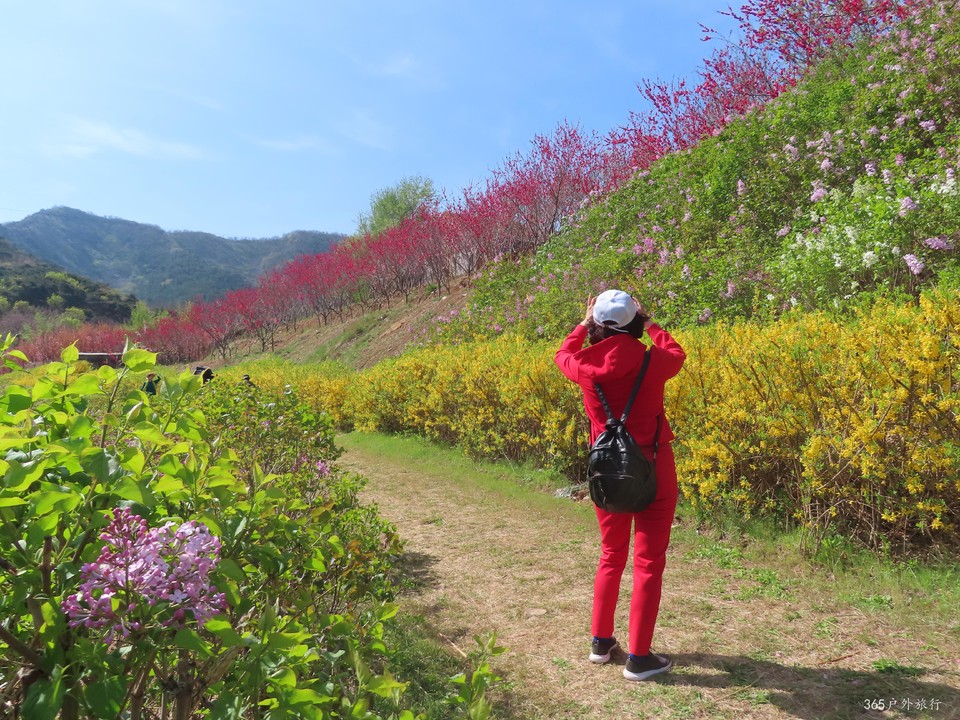 20220422092510_IMG_3536