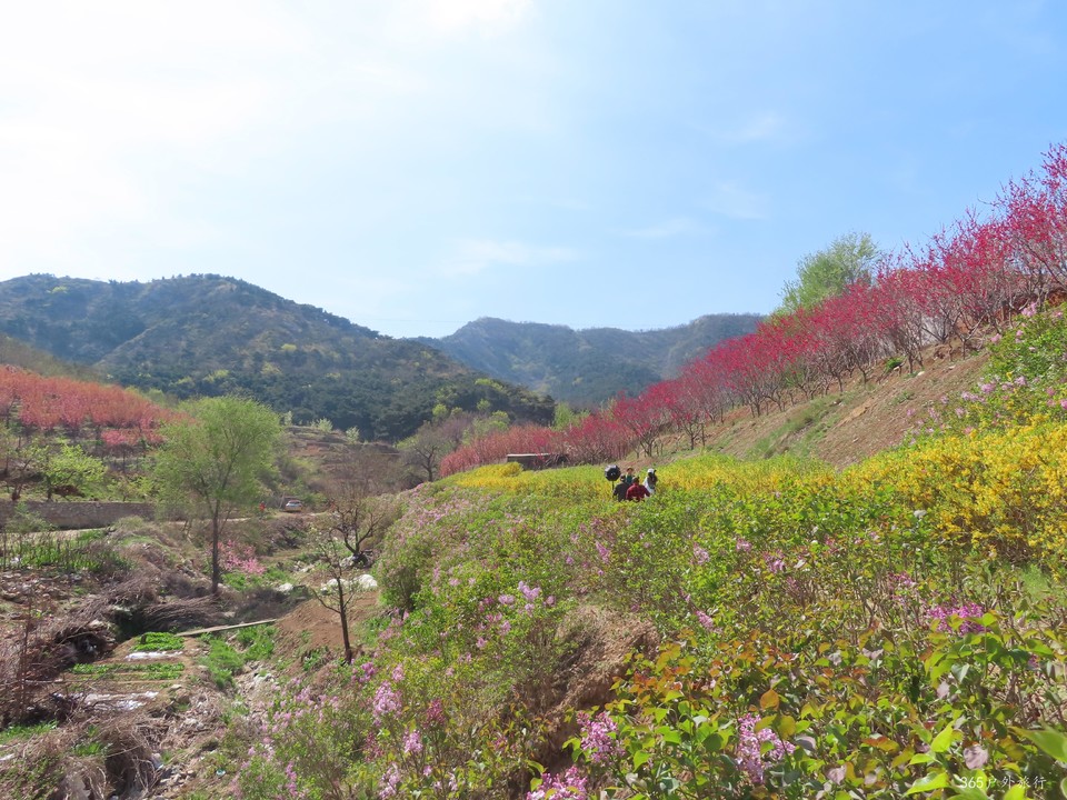 20220422092530_IMG_3537