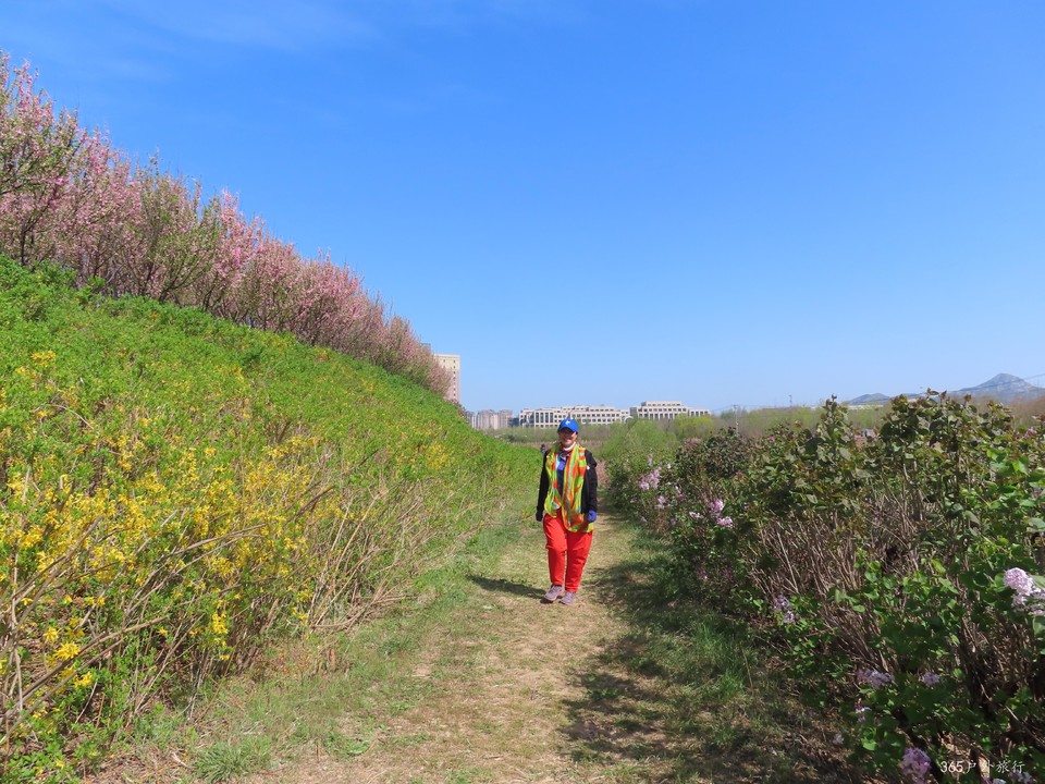 20220422092634_IMG_3538