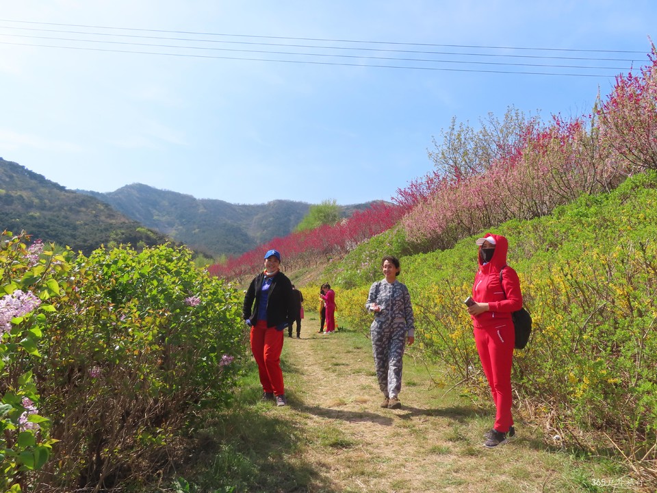 20220422092740_IMG_3540