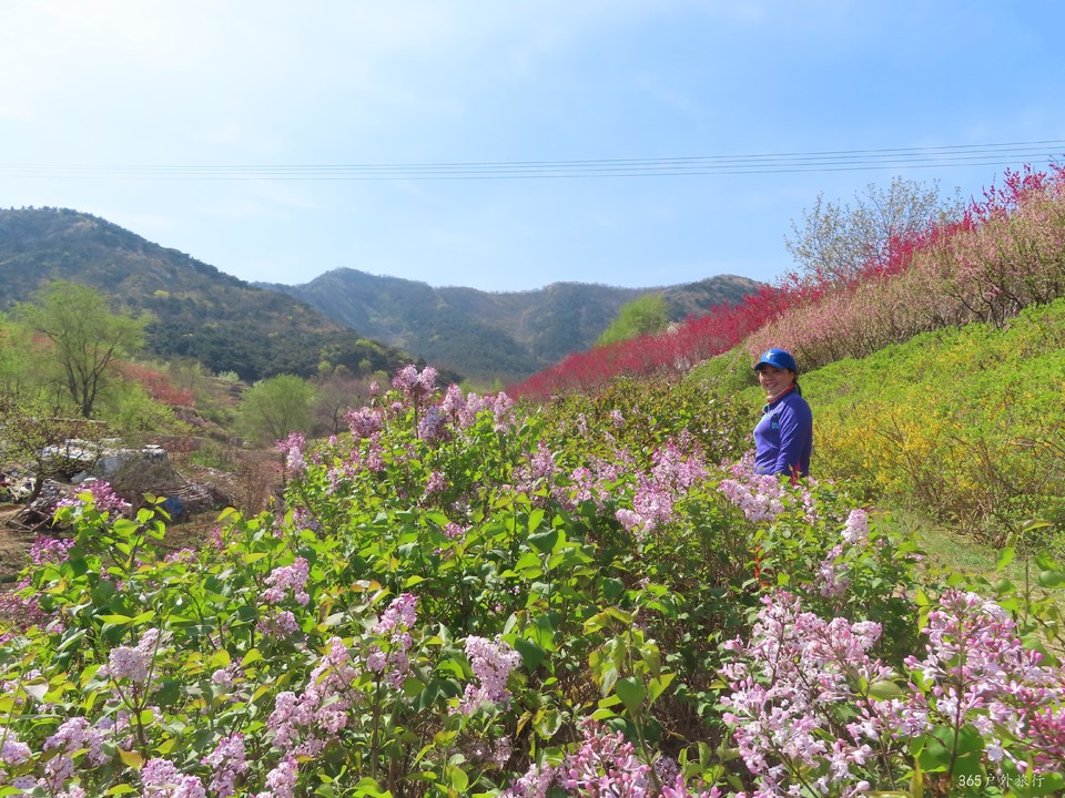 20220422092847_IMG_3541