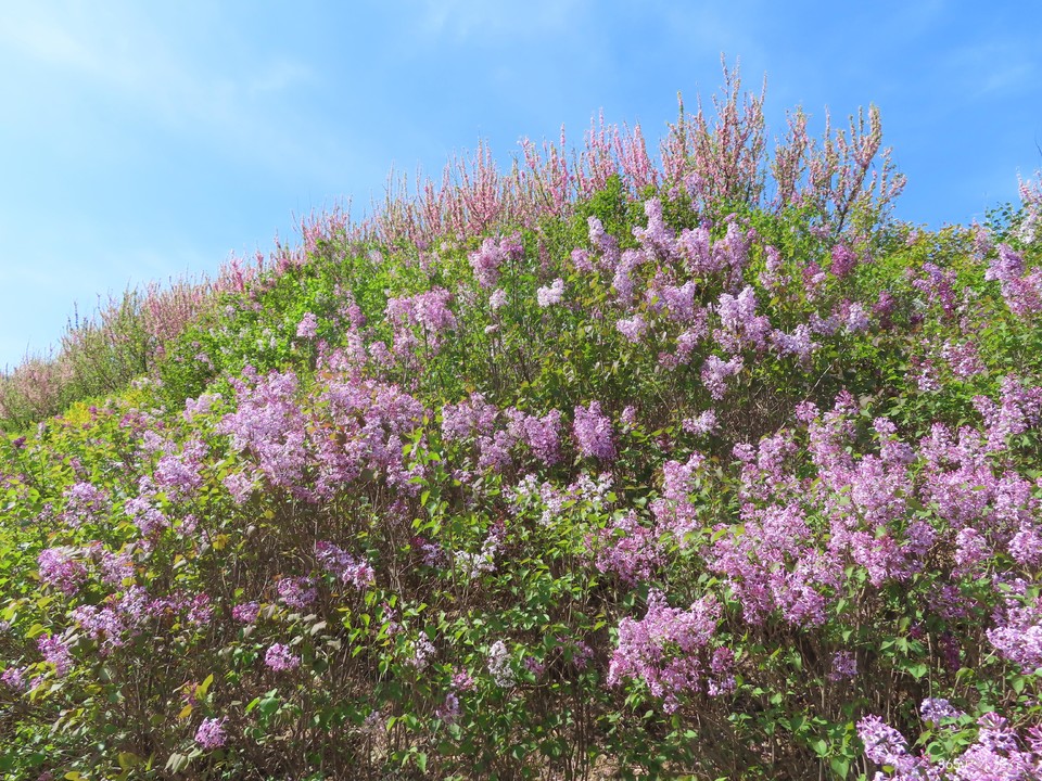 20220422093036_IMG_3543