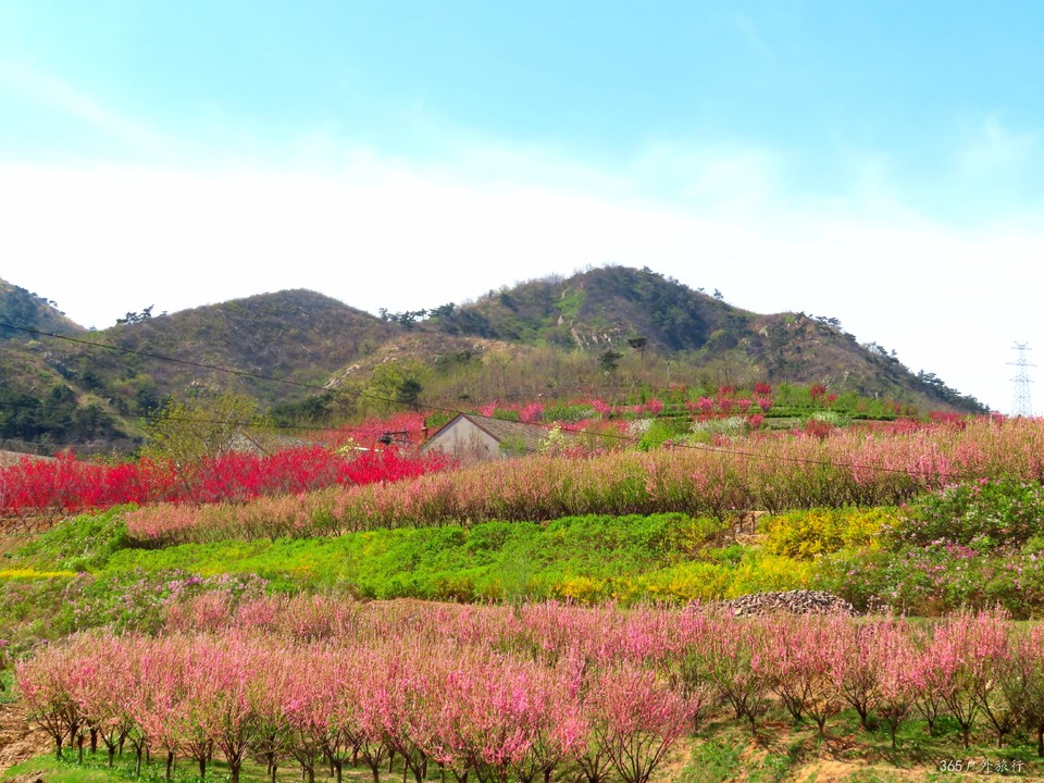 20220422100904_IMG_3545_edit_49511431910672