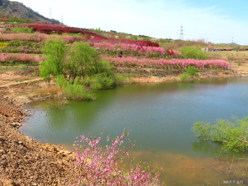 20220422101002_IMG_3547_edit_66142083893031