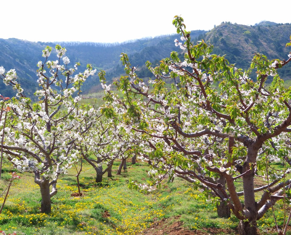 20220422102102_IMG_3549_edit_66168545677401