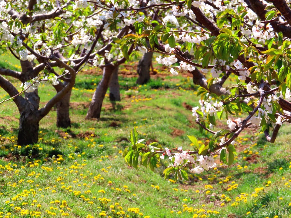 20220422102114_IMG_3550_edit_49283594410186