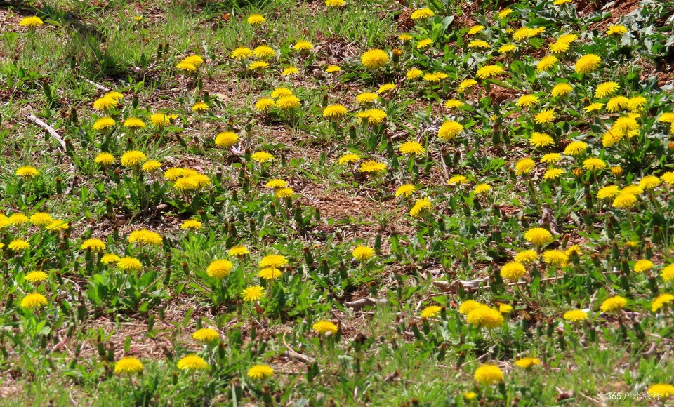 20220422102154_IMG_3551_edit_65982293052951