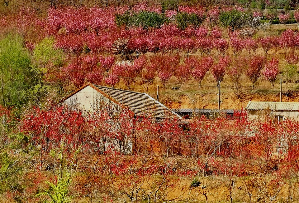 IMG_20220422_090731_edit_49135145354480