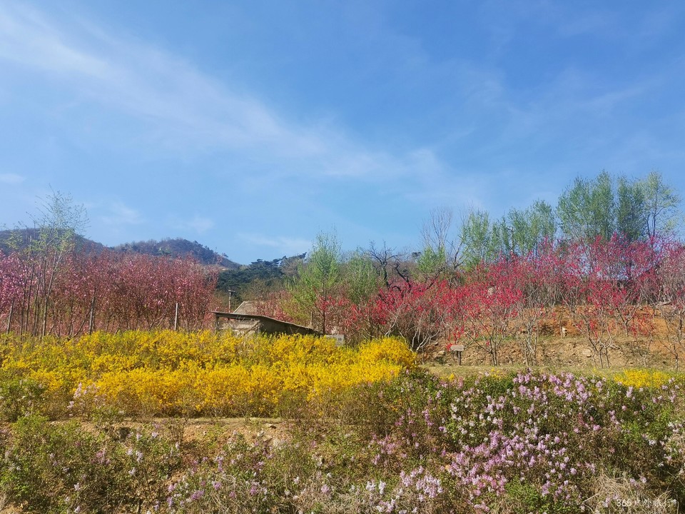 IMG_20220422_091601_edit_15788837892901