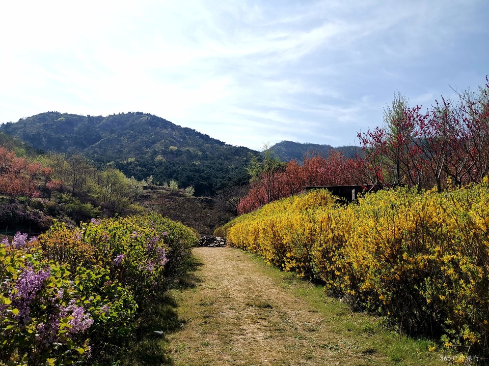 IMG_20220422_091958_edit_16016119366825