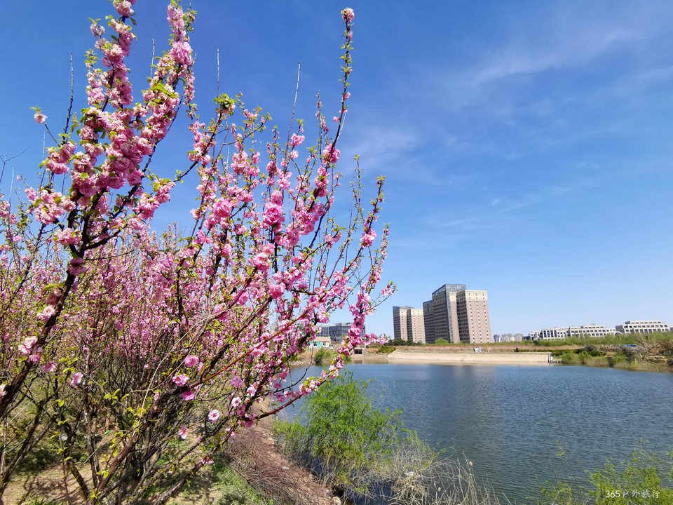 IMG_20220422_094057_edit_49029442954496