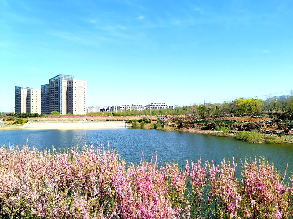 IMG_20220422_094219_edit_49768860875216