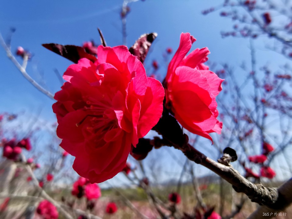 IMG_20220422_095754_edit_56854923003302