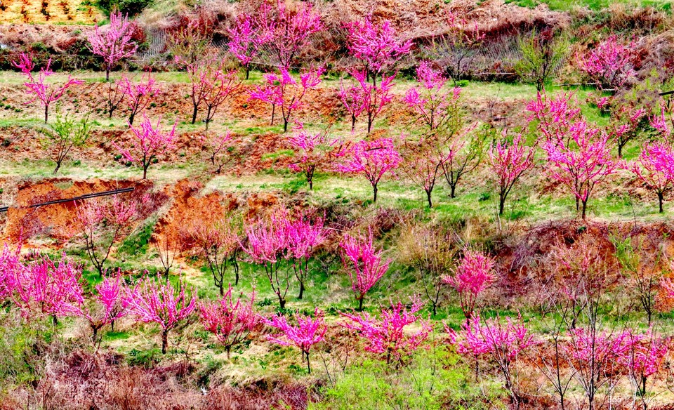 IMG_20220422_151604_edit_7206061707753