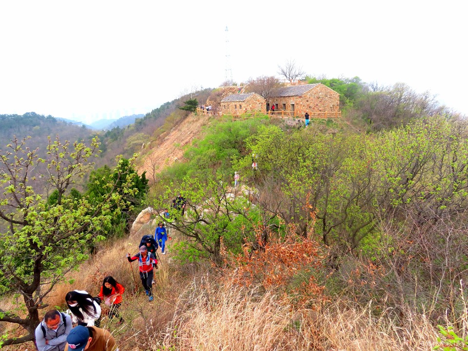 20220424090541_IMG_3763_edit_138901254039741