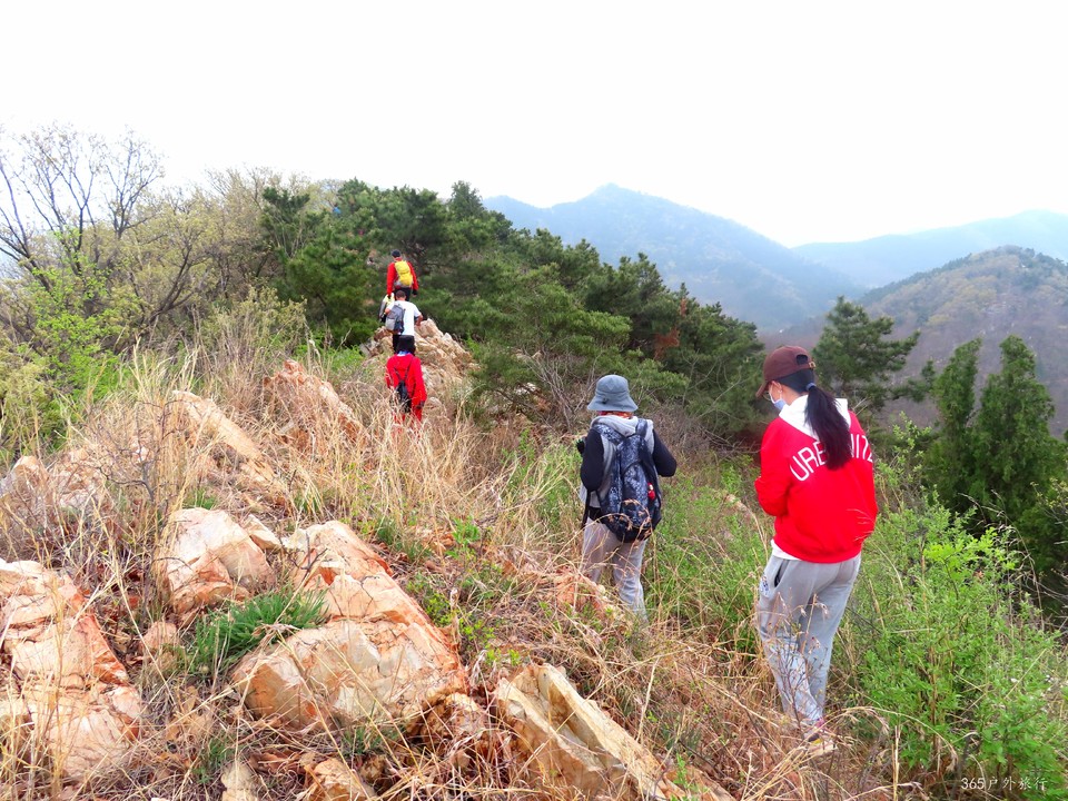 20220424090723_IMG_3764_edit_138889333946514