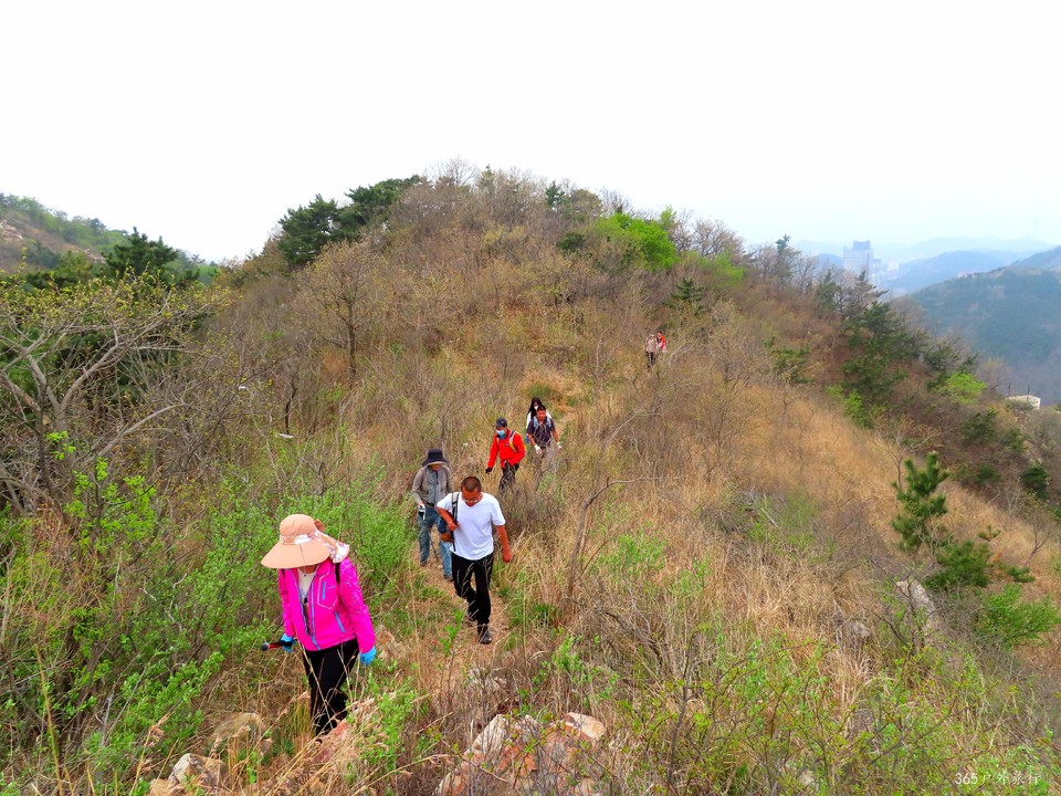 20220424092938_IMG_3766_edit_138911938454323