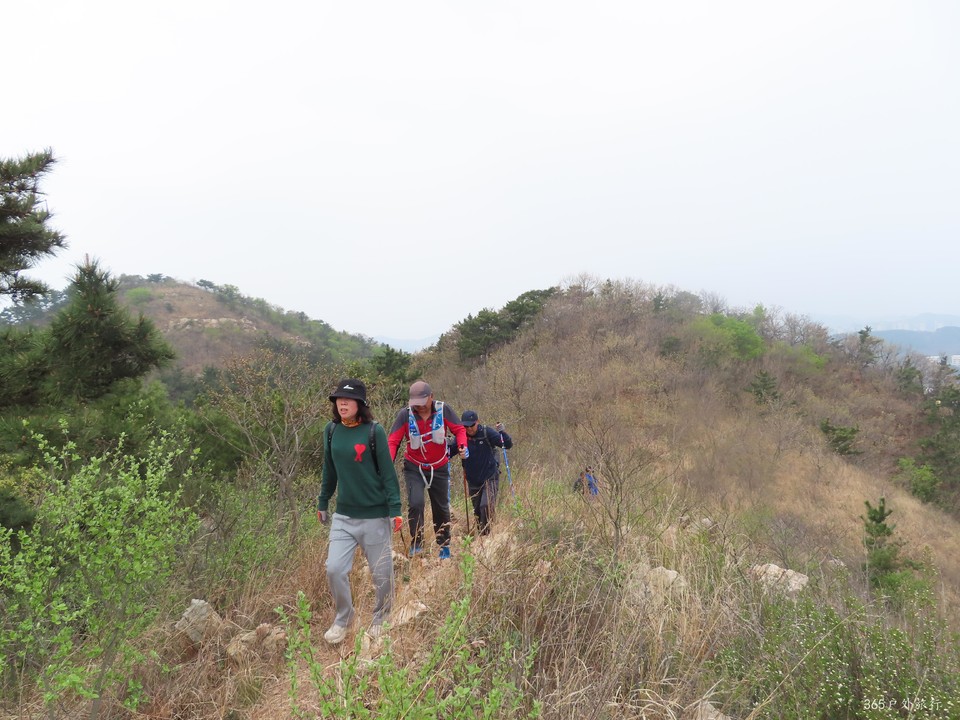 20220424093051_IMG_3770