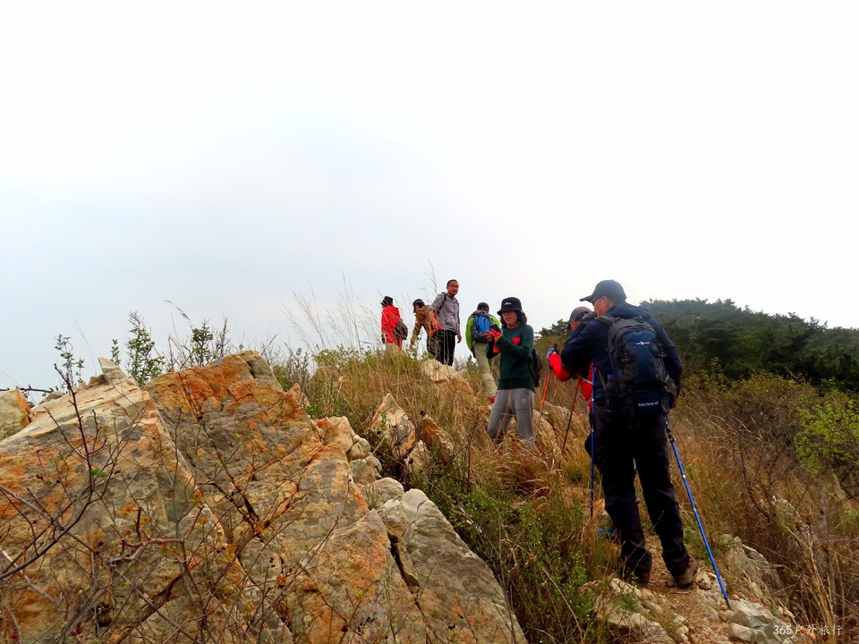 20220424093137_IMG_3771_edit_138949715835046