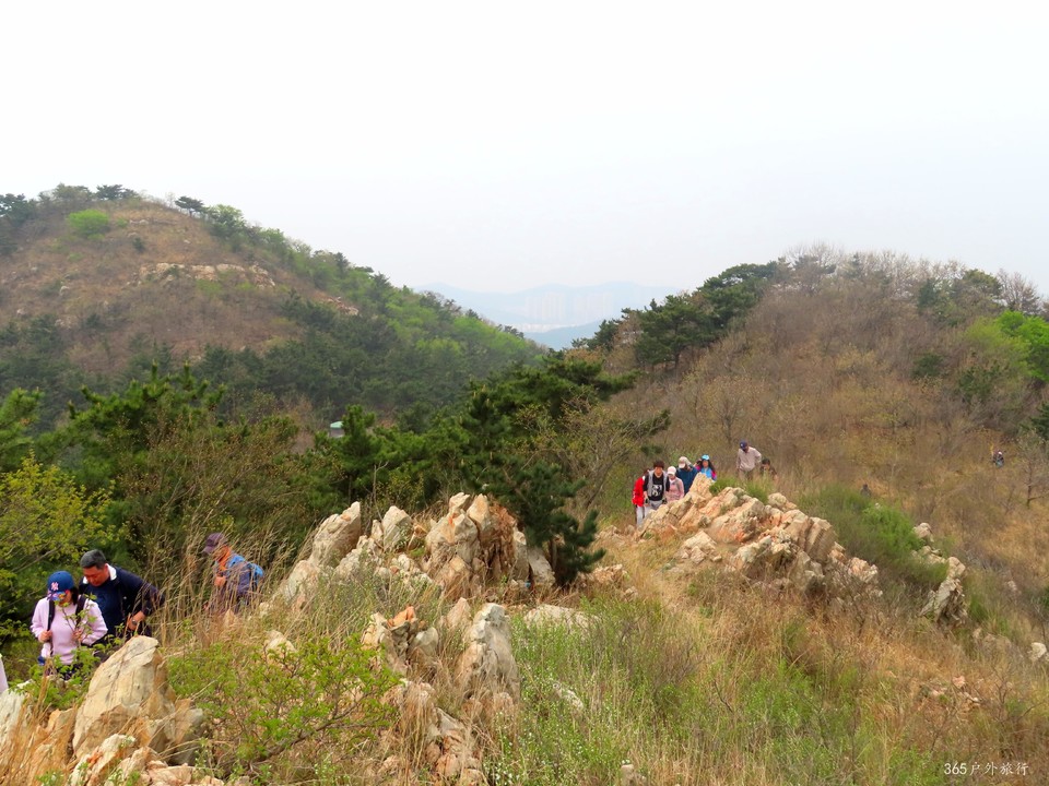 20220424093311_IMG_3773_edit_139631035379734