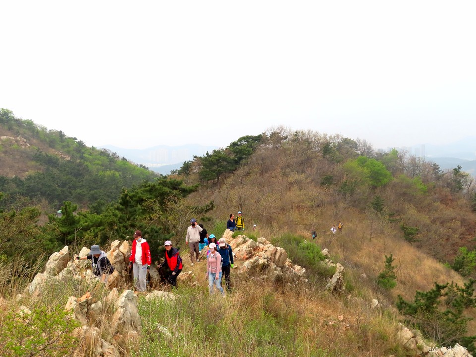 20220424093326_IMG_3774_edit_139648173944314