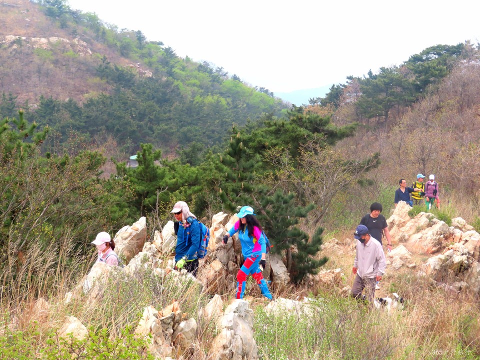 20220424093334_IMG_3775_edit_139680300921393