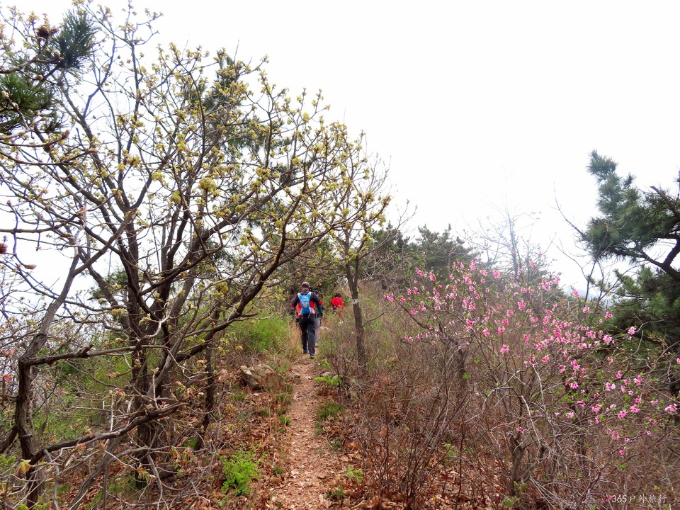 20220424093833_IMG_3776_edit_139668241133895