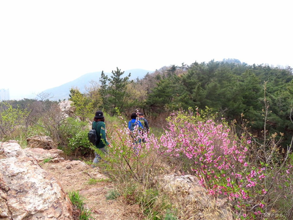 20220424094245_IMG_3777_edit_139658616574000