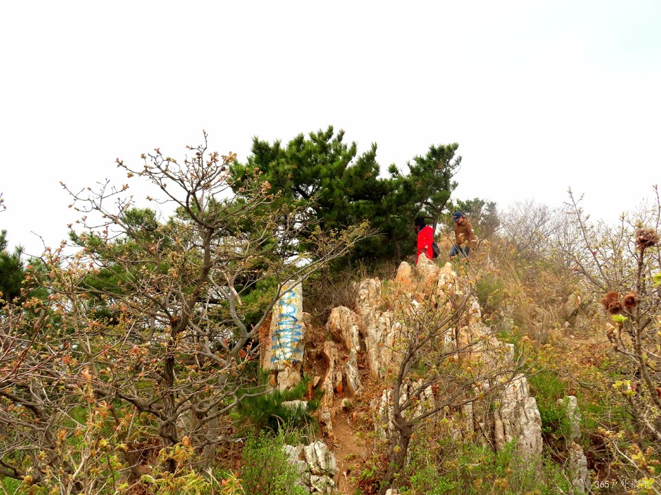 20220424095311_IMG_3779_edit_139704636149514