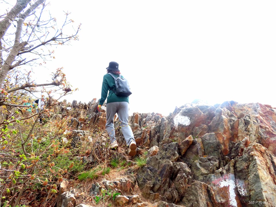 20220424095517_IMG_3780_edit_139717172069304