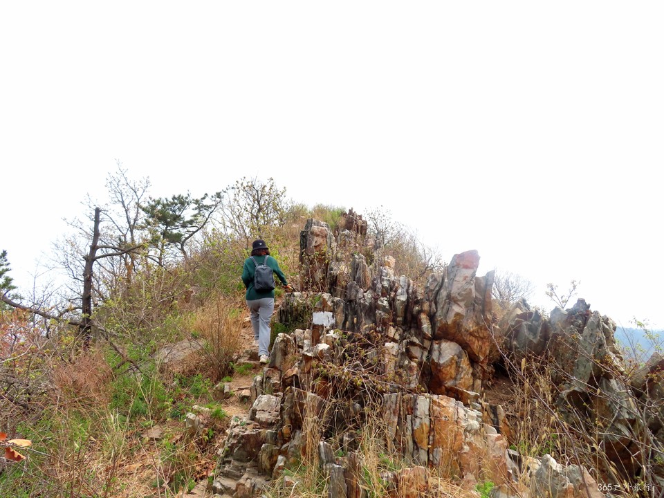 20220424095607_IMG_3783_edit_139726963093782