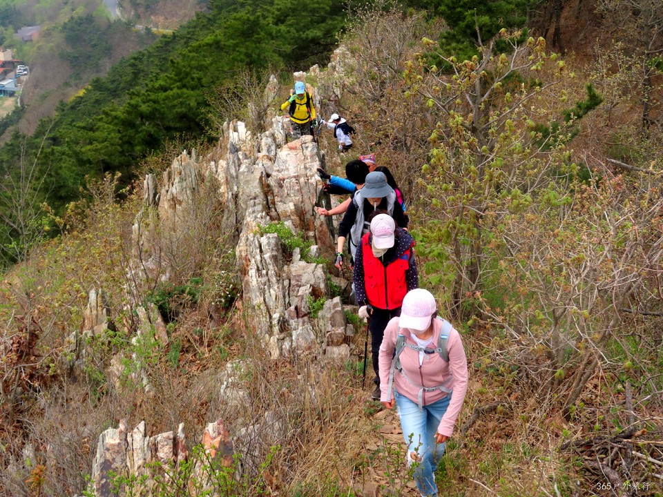 20220424095937_IMG_3788_edit_139801117866166