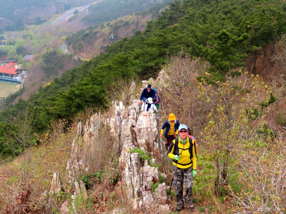 20220424100002_IMG_3789_edit_139811290614081