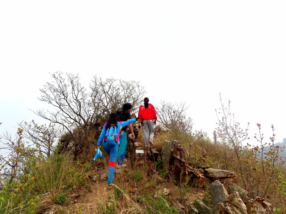 20220424100102_IMG_3790_edit_139839552997410