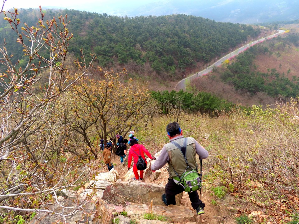 20220424100453_IMG_3802_edit_139929390923959