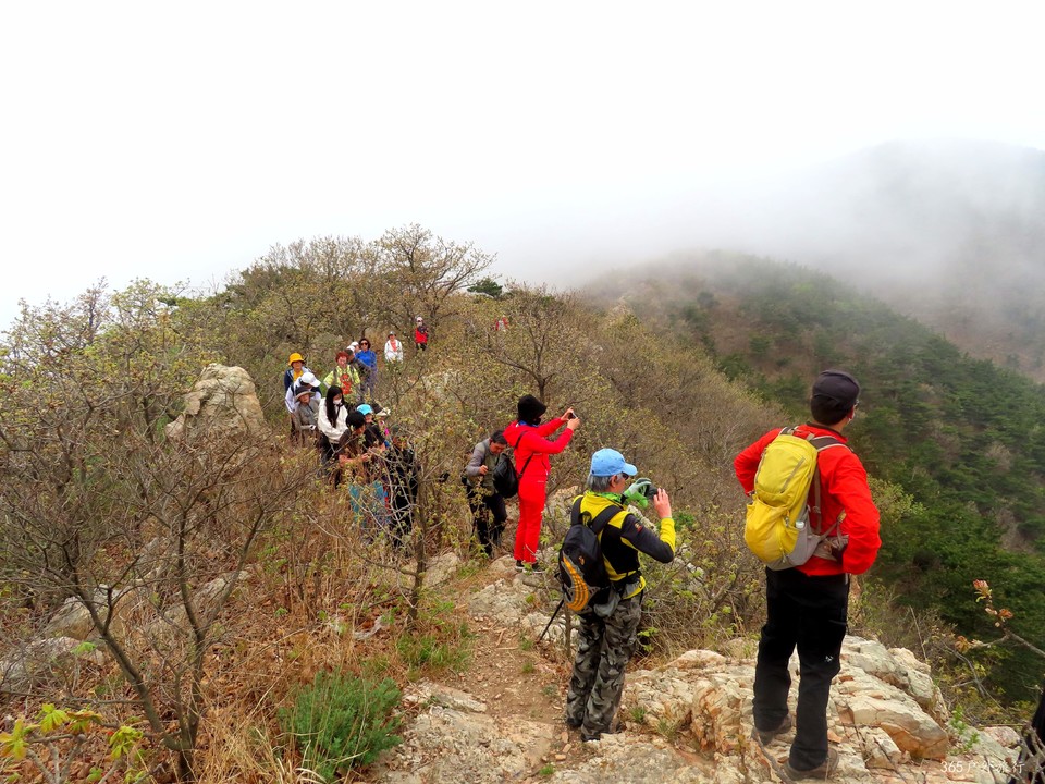 20220424105021_IMG_3809_edit_140023550214570