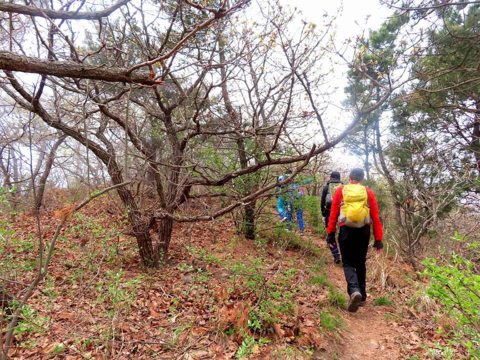 20220424111206_IMG_3810_edit_140032561184360