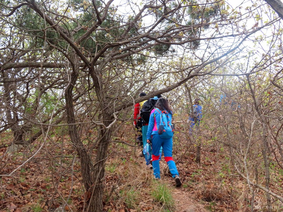 20220424111222_IMG_3811_edit_140070046648938