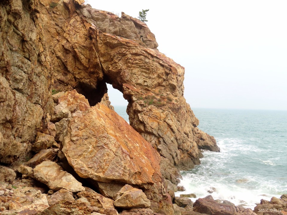 20220424123127_IMG_3835_edit_140266603461408