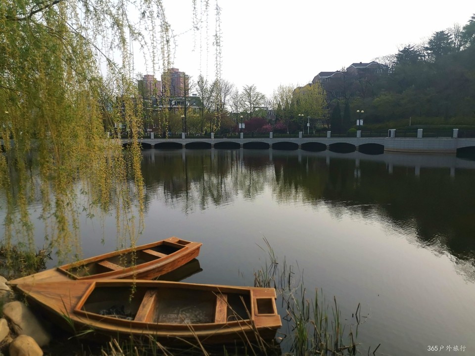 IMG_20220424_071606_edit_140849699754548