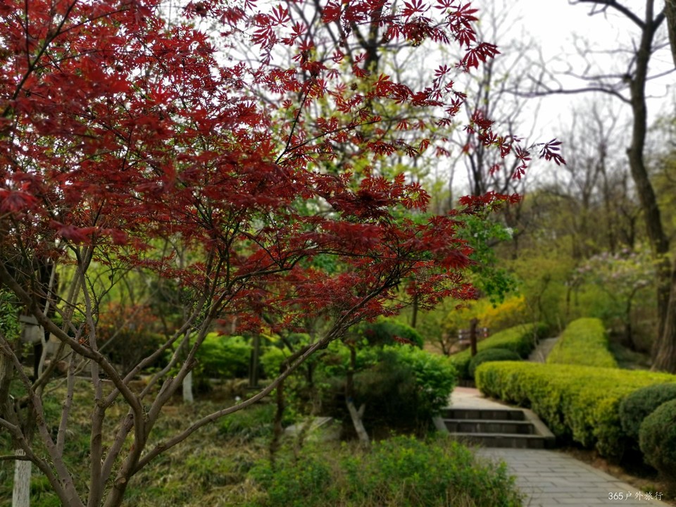 IMG_20220424_074401_edit_140760585688415