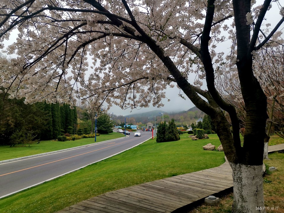 IMG_20220424_134226_edit_140375836917641