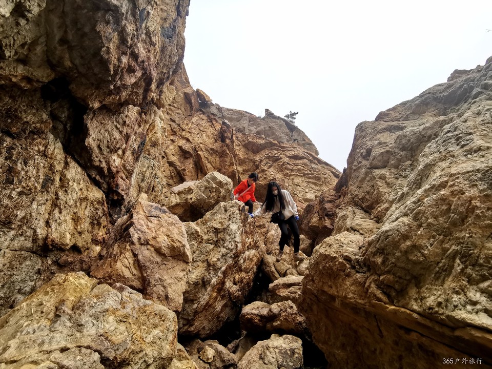 IMG_20220424_123118_edit_140398181221283