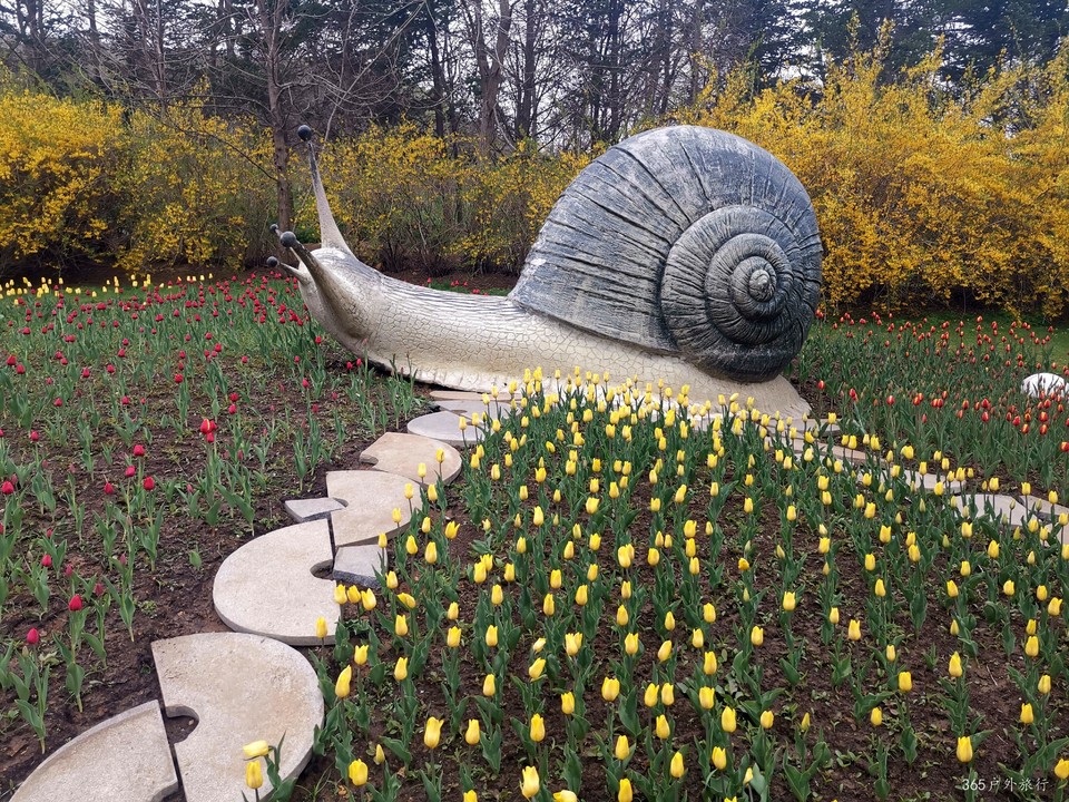 IMG_20220424_134521_edit_140364608060351