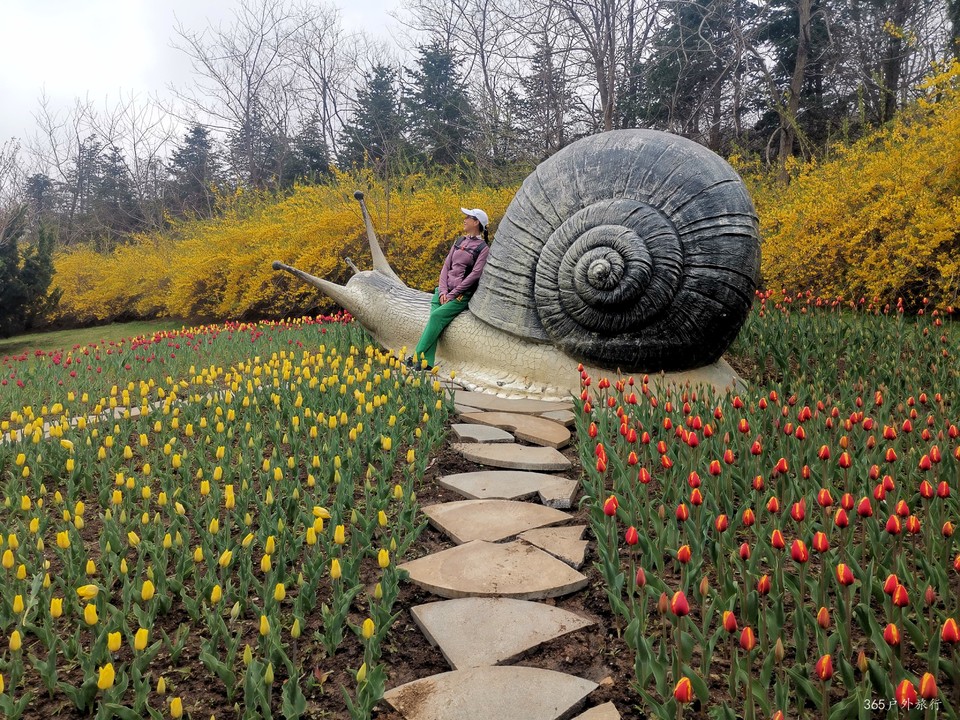 IMG_20220424_134549_edit_140348954760353