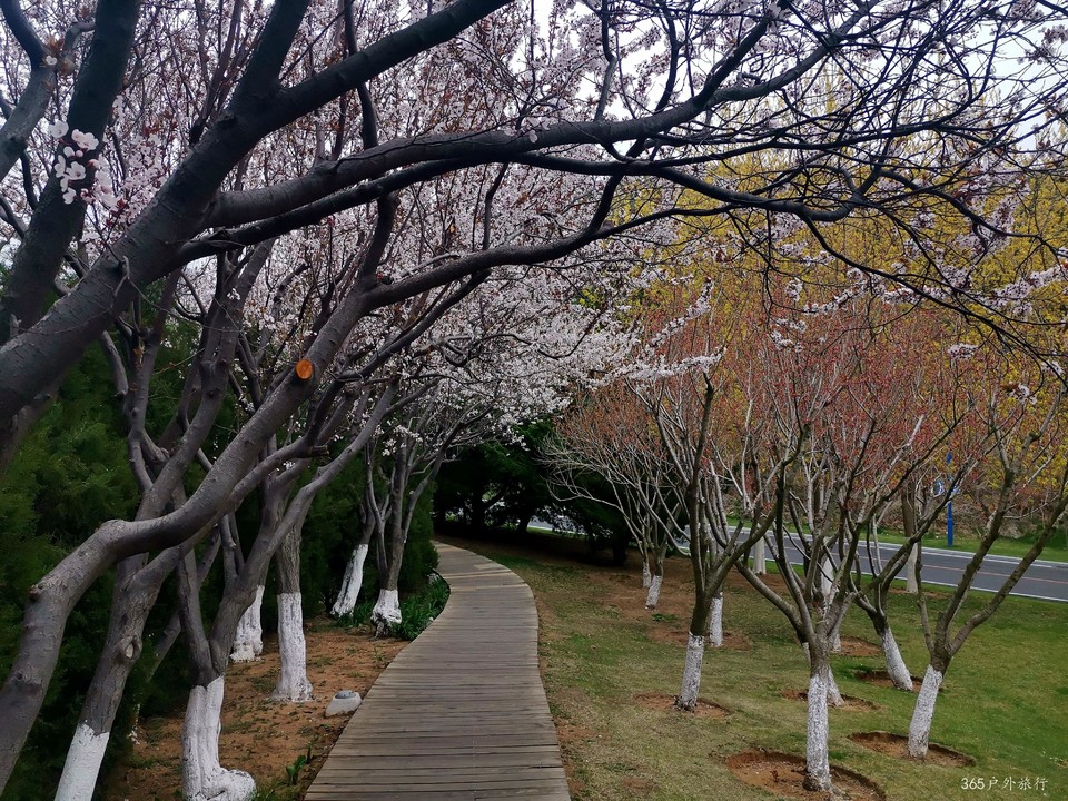 IMG_20220424_140630_edit_140309231741089