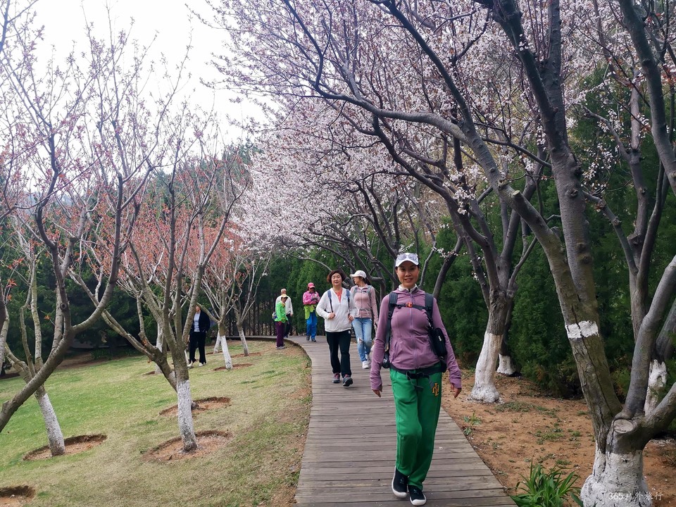 IMG_20220424_140720_1_edit_140294178174424